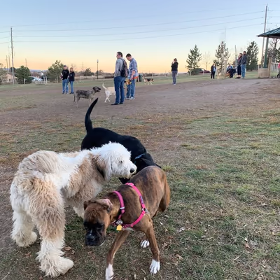Wynetka Ponds Bark Park
